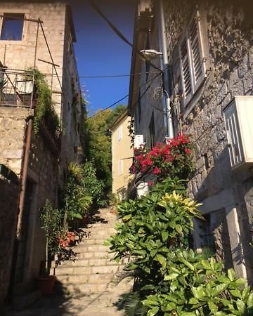 Apartment Simo Herceg Novi Bagian luar foto