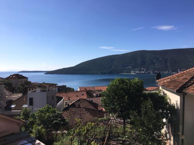 Apartment Simo Herceg Novi Bagian luar foto