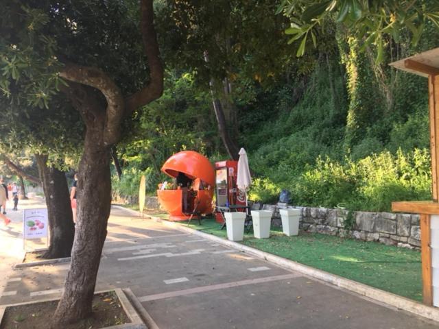 Apartment Simo Herceg Novi Bagian luar foto