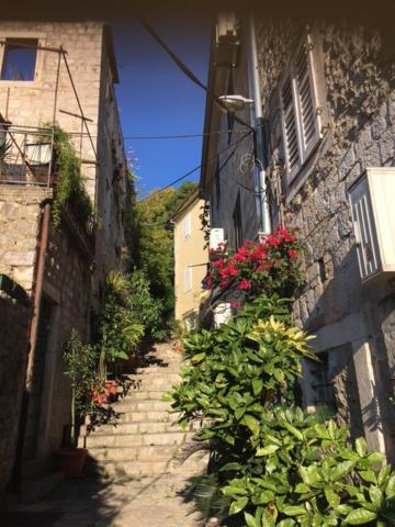 Apartment Simo Herceg Novi Bagian luar foto
