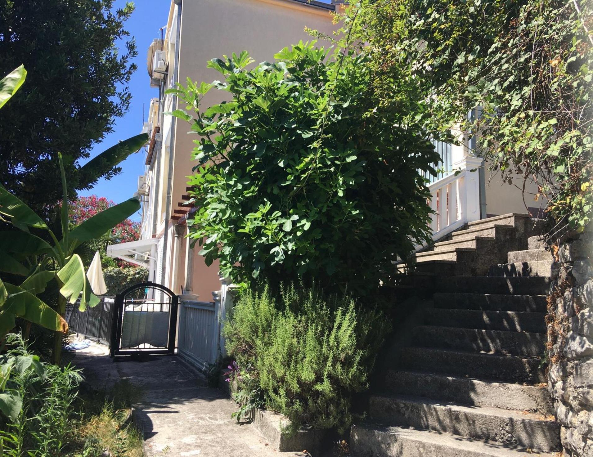 Apartment Simo Herceg Novi Bagian luar foto