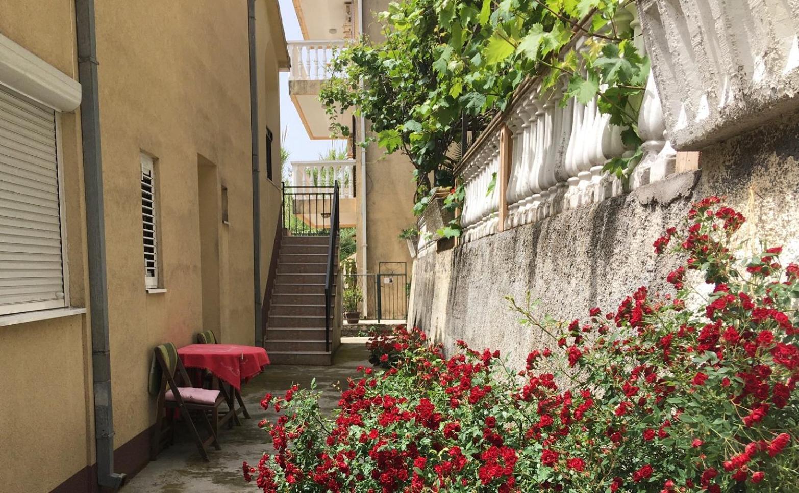 Apartment Simo Herceg Novi Bagian luar foto